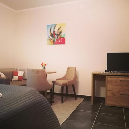 Zlatibor Hills Studio Екстериор снимка